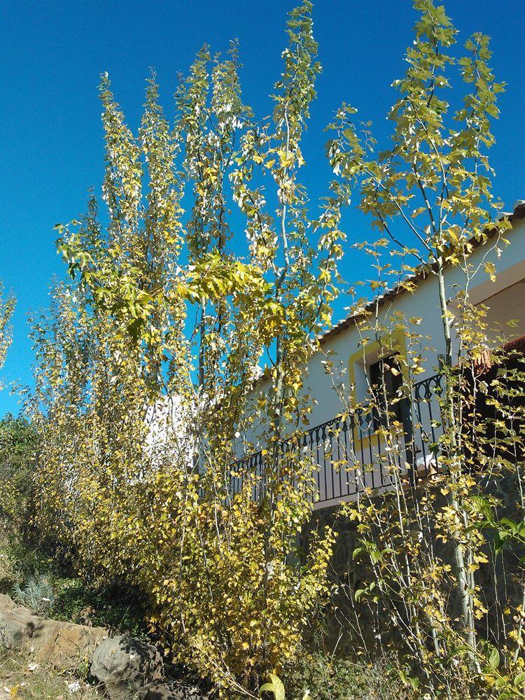 Casas Do Palheiro Velho Guest House Castro Marim Exterior photo